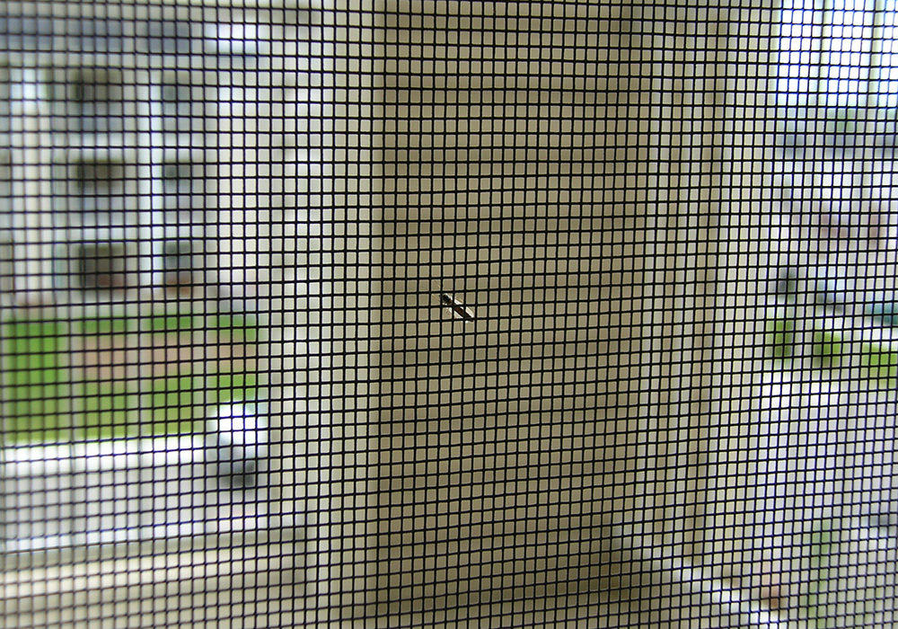 Insect Screens 1000x700